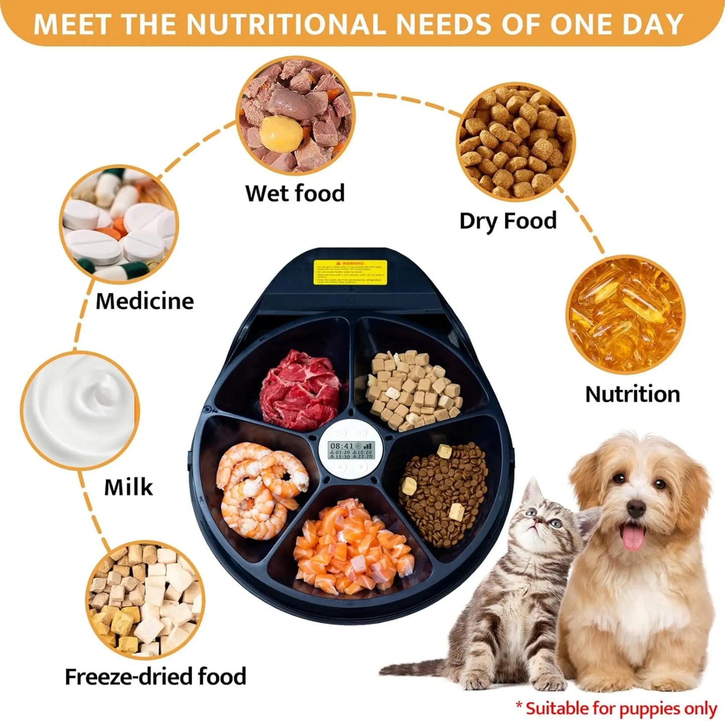 Automatic Cat Feeder With Cooling System And Timer Five Compartments