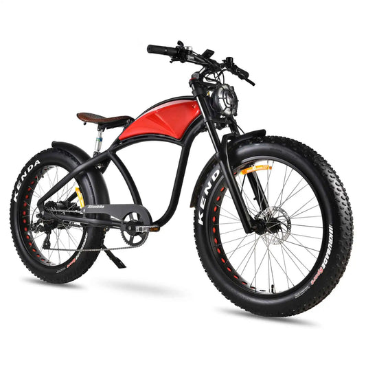 Xtion Electric Mountain Bike 750W All Terrain Fat Tire Dual Suspension 48V