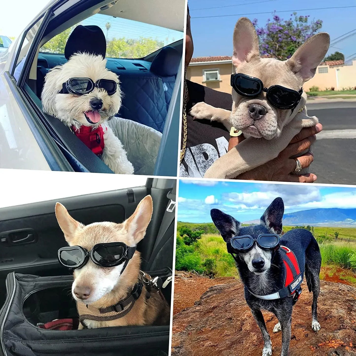 ATUBAN Dog Helmet Sunglasses For Outdoor Protection