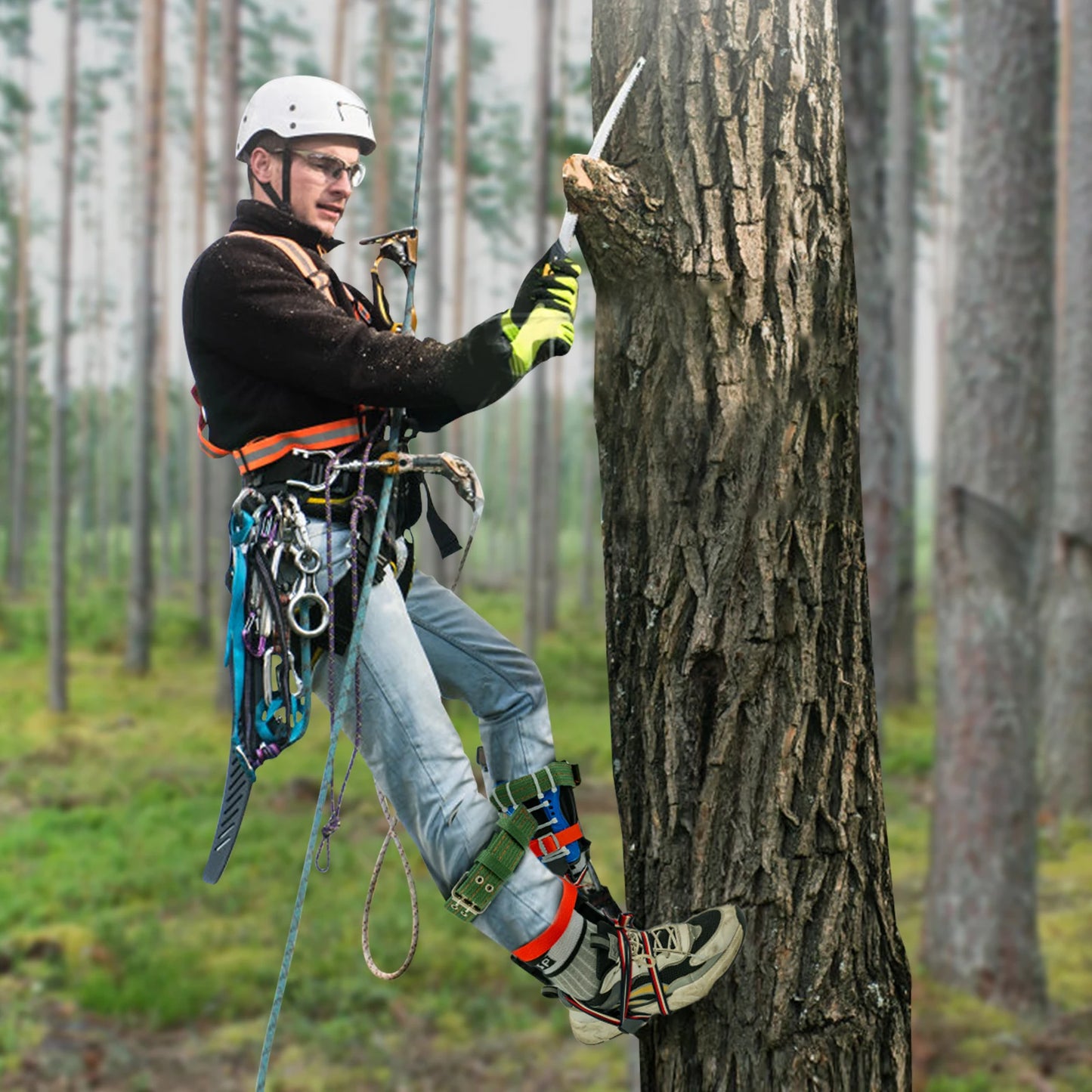 Tree Climbing Spikes Kit With Safety Harness And Gloves Arborists