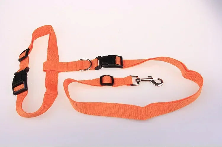 Adjustable Nylon Pet Leash Belt Traction Walking Lead For Dogs And Cats