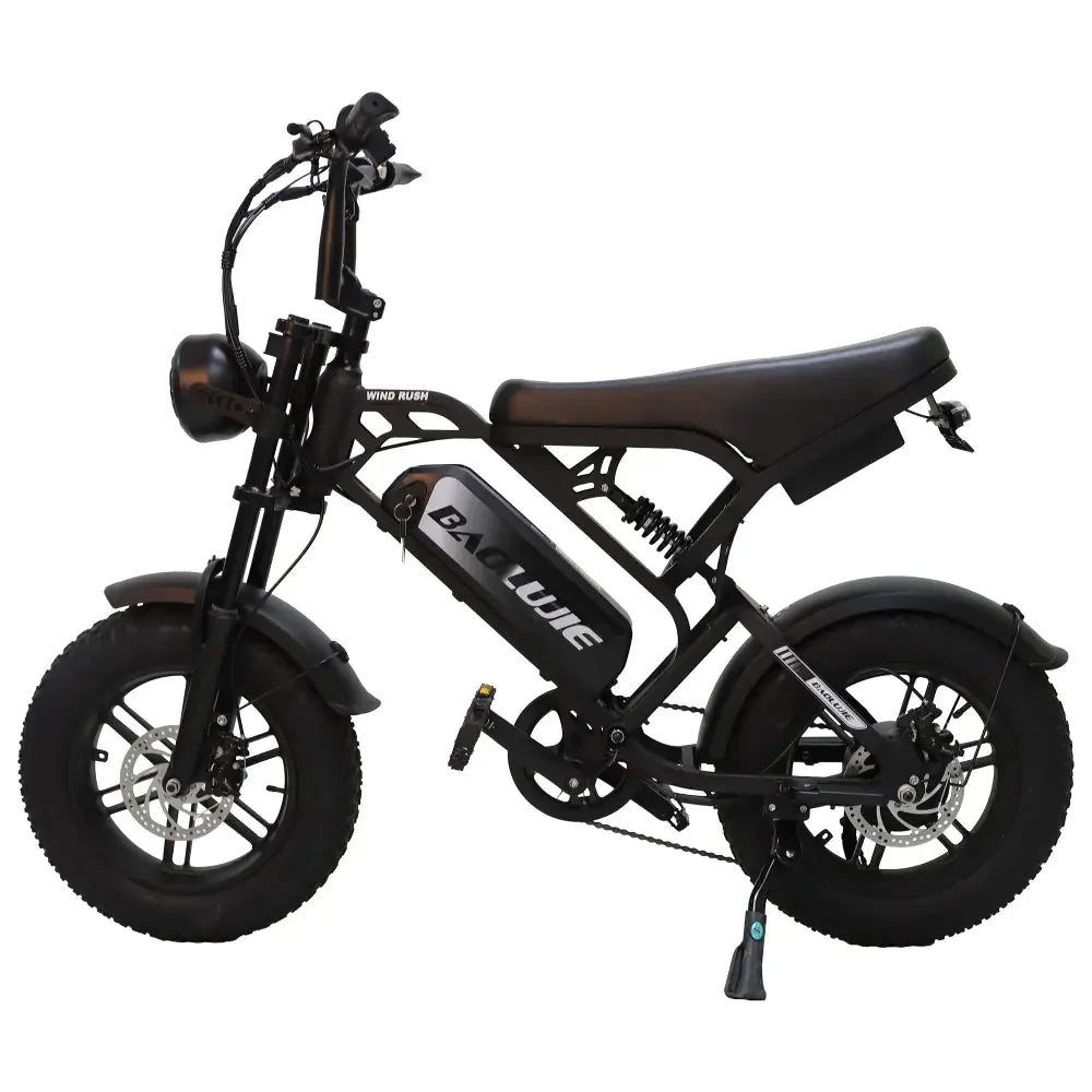 Baolujie DM01 Electric Bike 2000W 60V 30Ah Battery