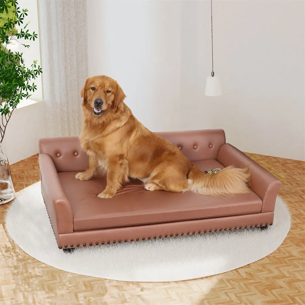 Bingopaw Luxury Raised Dog Sofa Bed With Removable Cushion