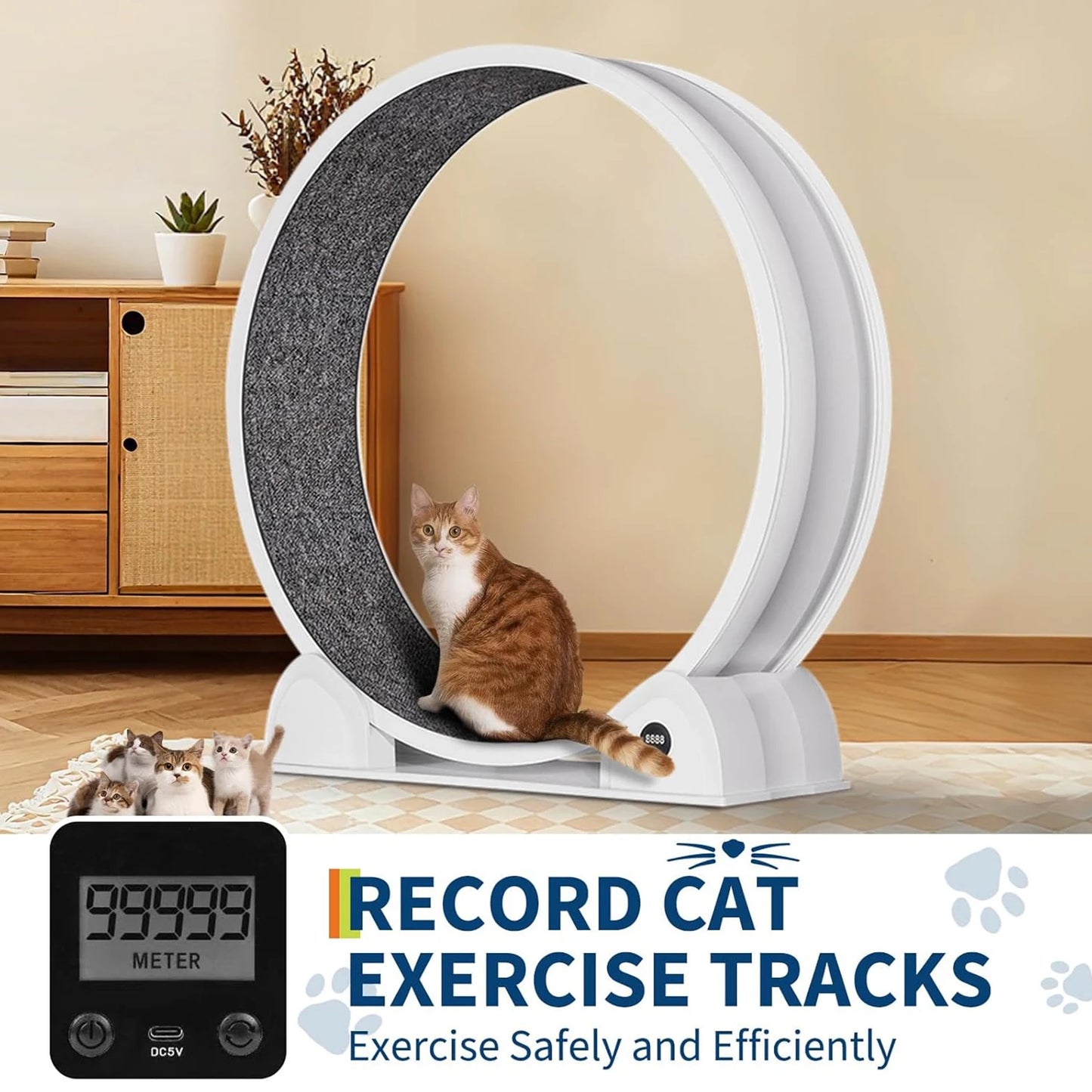 HiMISSCN Quiet Cat Exercise Wheel For Indoor Cats With Pedometer