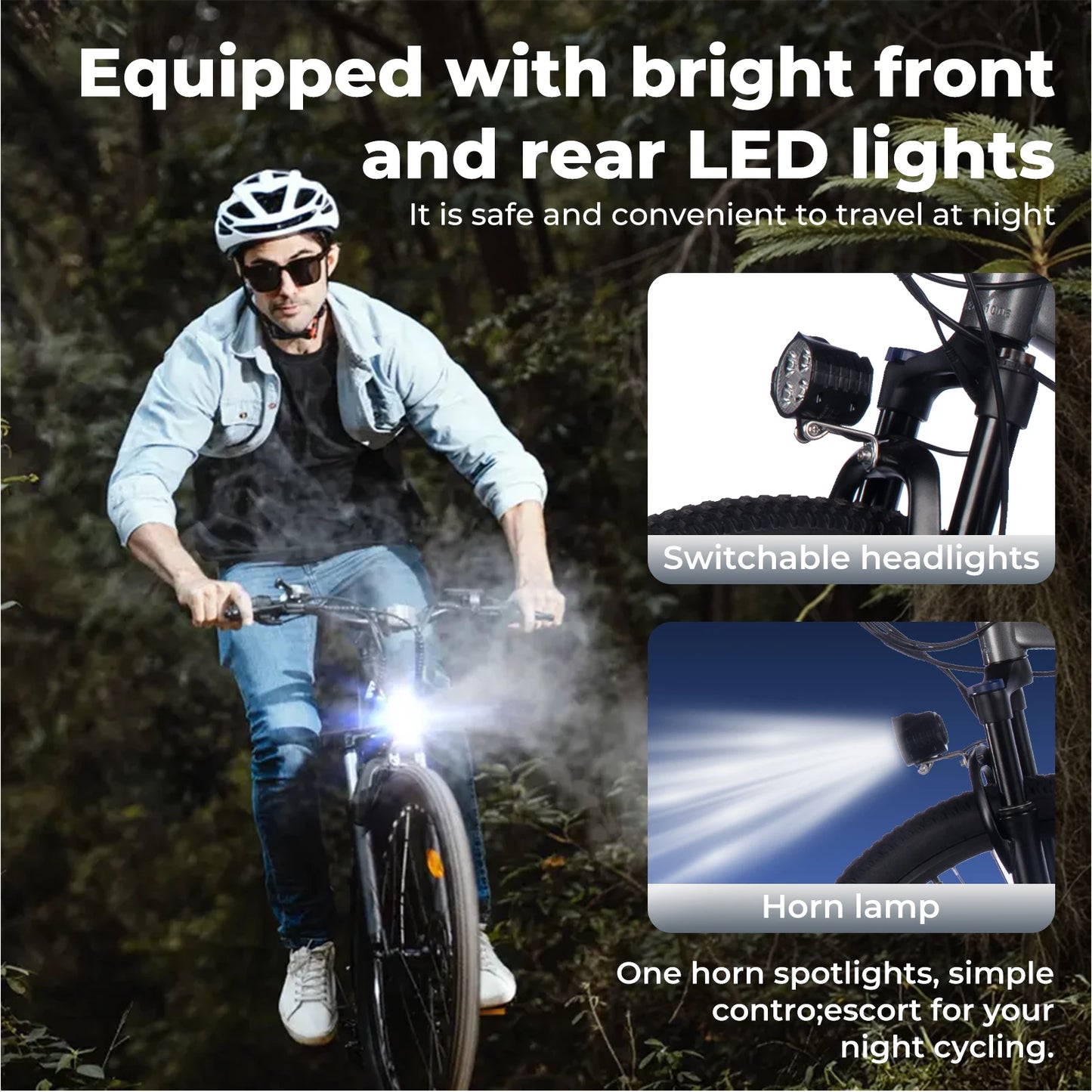Terrosor Electric Fat Tire Mountain Bike 350W Peak Ebike