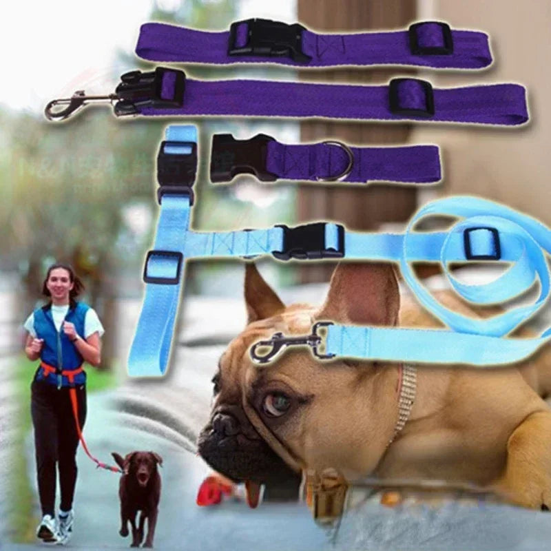Adjustable Nylon Pet Leash Belt Traction Walking Lead For Dogs And Cats