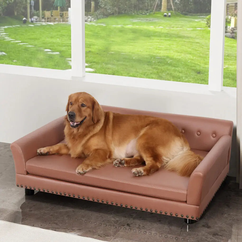 Bingopaw Luxury Raised Dog Sofa Bed With Removable Cushion