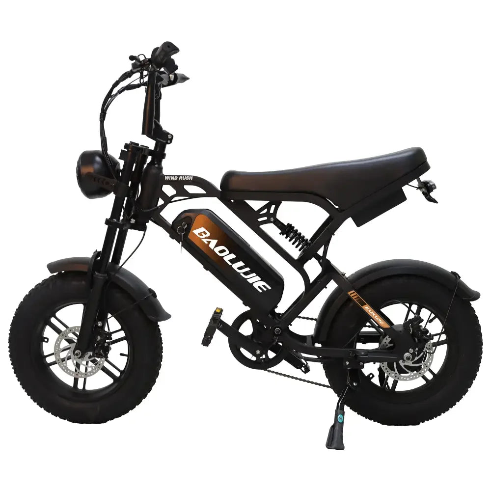 Baolujie DM01 Electric Bike 2000W 60V 30Ah Battery