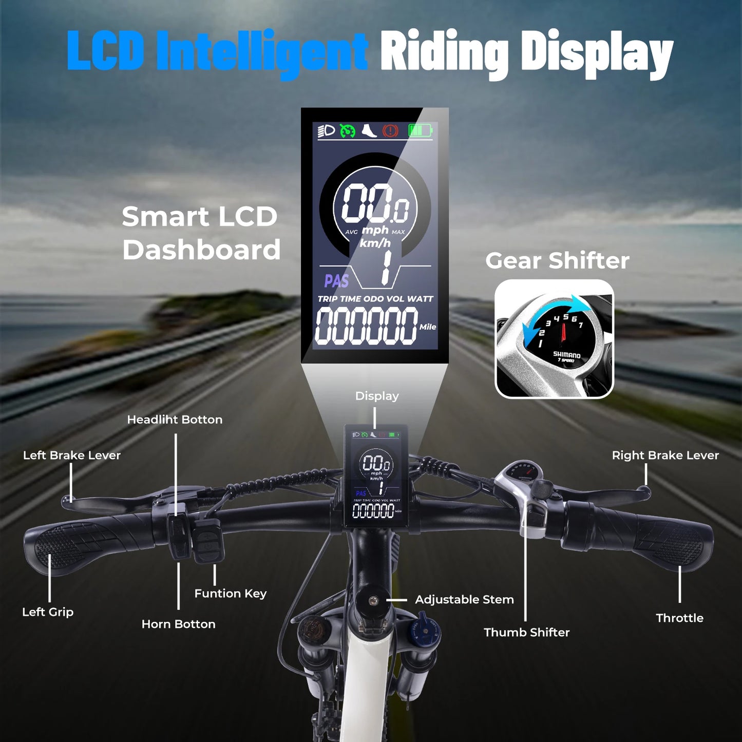 Terrosor Electric Fat Tire Mountain Bike 350W Peak Ebike