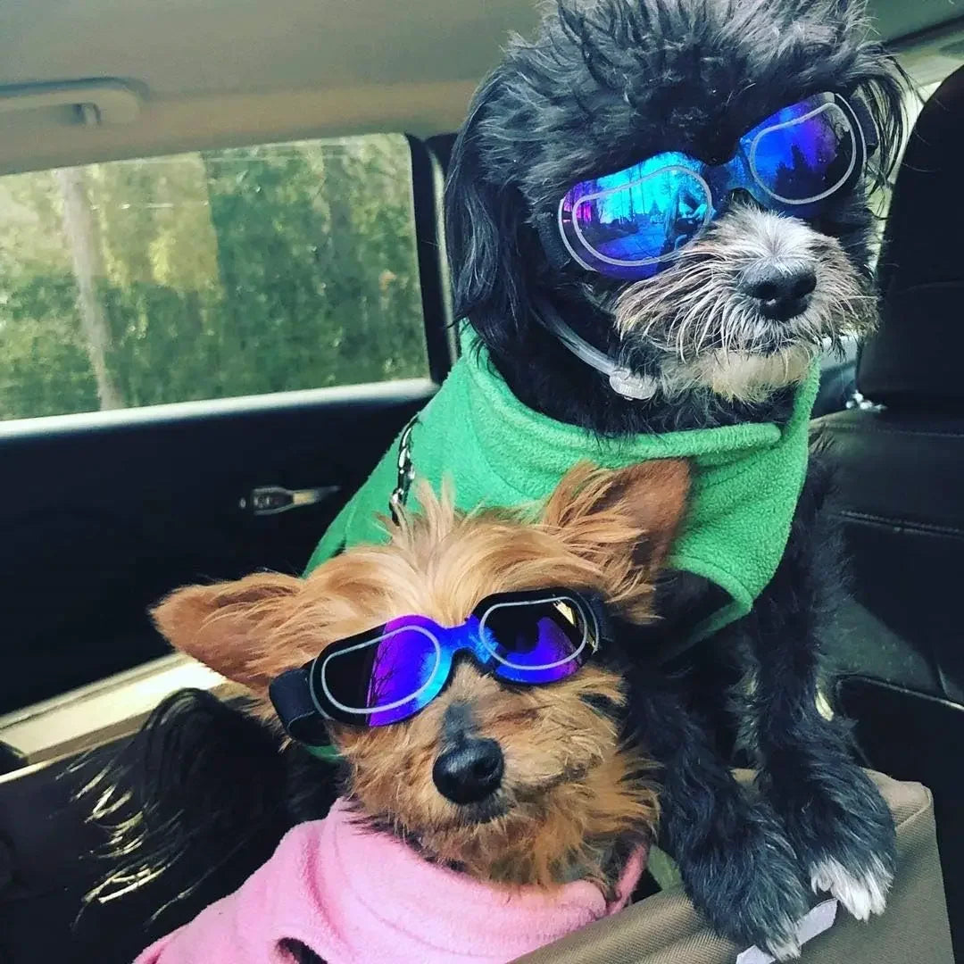 ATUBAN Dog Helmet Sunglasses For Outdoor Protection