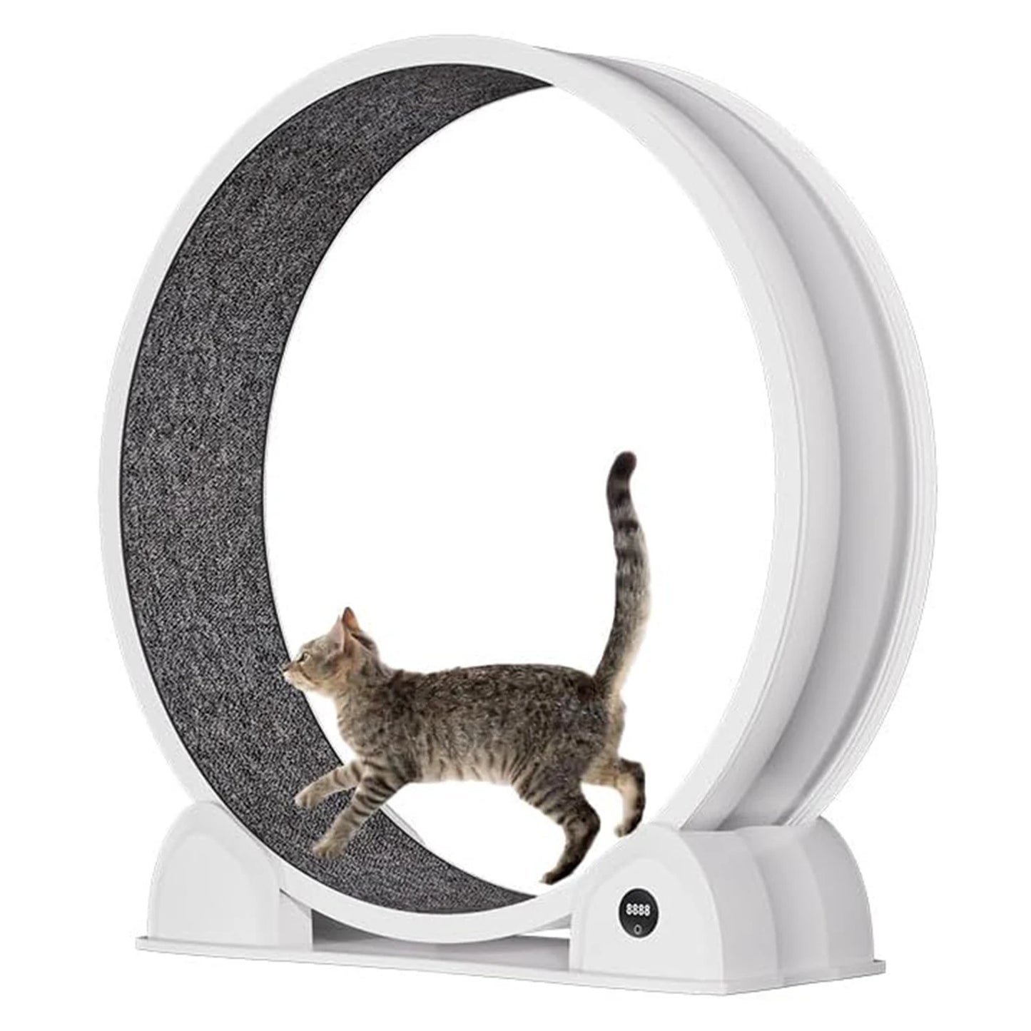 HiMISSCN Quiet Cat Exercise Wheel For Indoor Cats With Pedometer