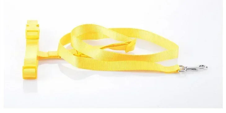 Adjustable Nylon Pet Leash Belt Traction Walking Lead For Dogs And Cats