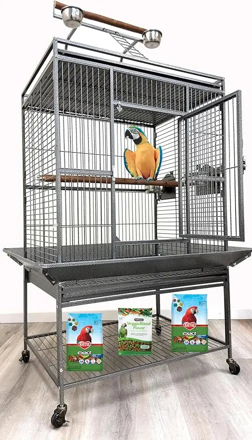 Wrought Iron Bird Climbing Ladder Perch Stand For Parrots