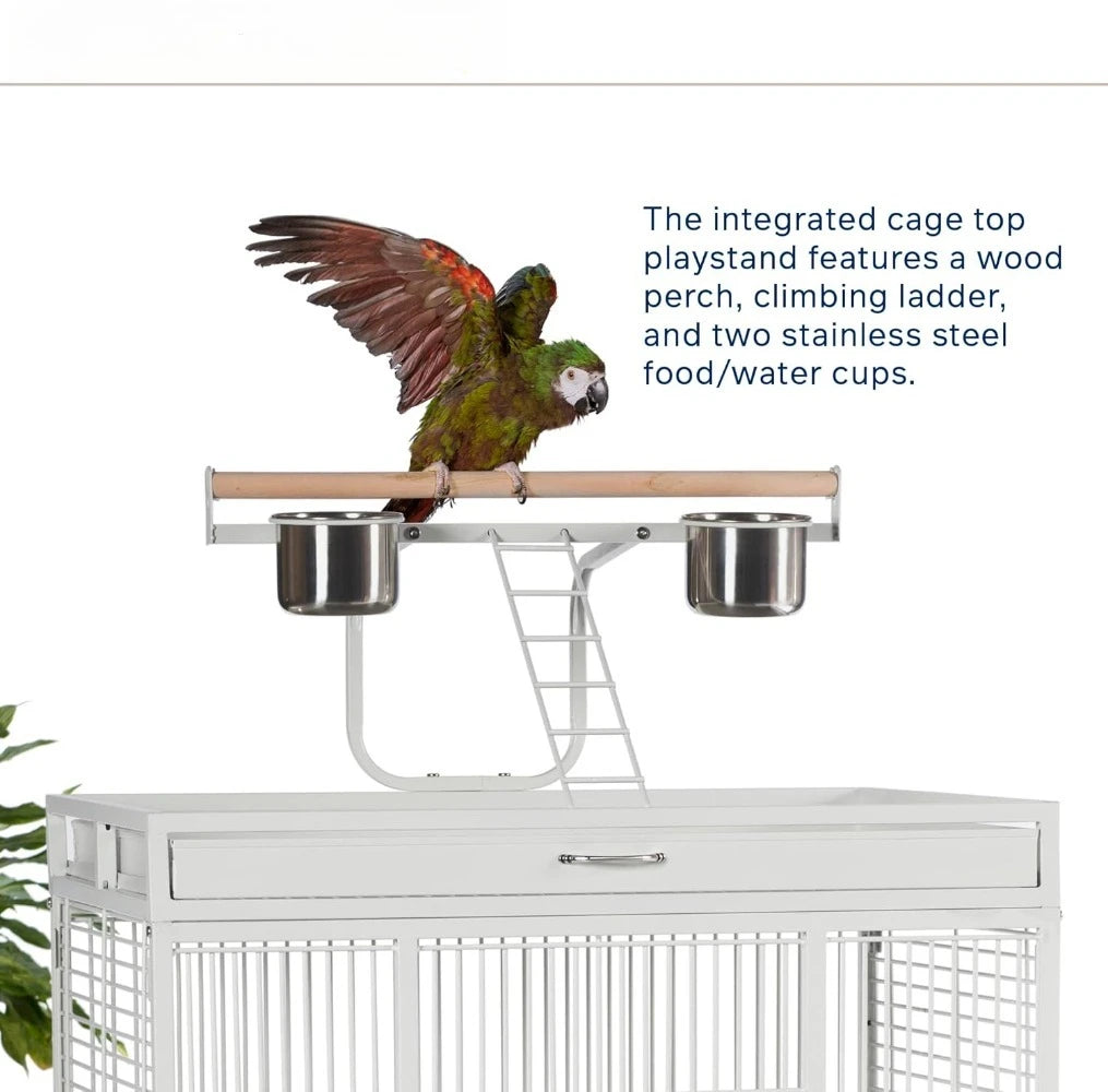 Wrought Iron Select Bird Cage With Stand Playtop Cups Perches