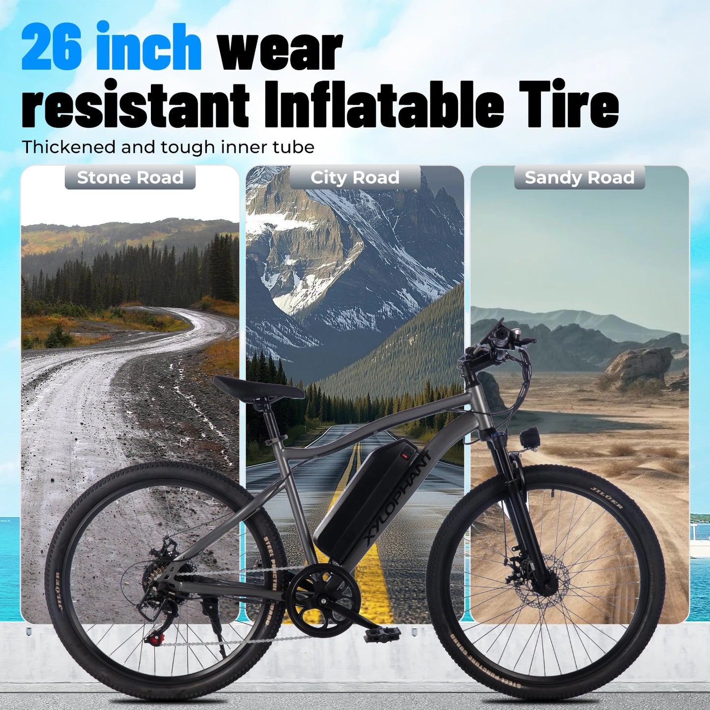 Terrosor Electric Fat Tire Mountain Bike 350W Peak Ebike