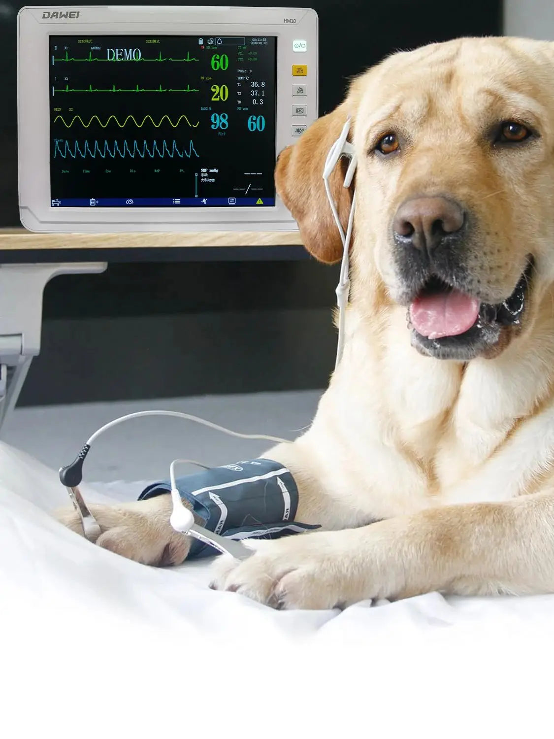 DAWEI Portable Veterinary Monitor 6 Parameter ECG Blood Oxygen BP