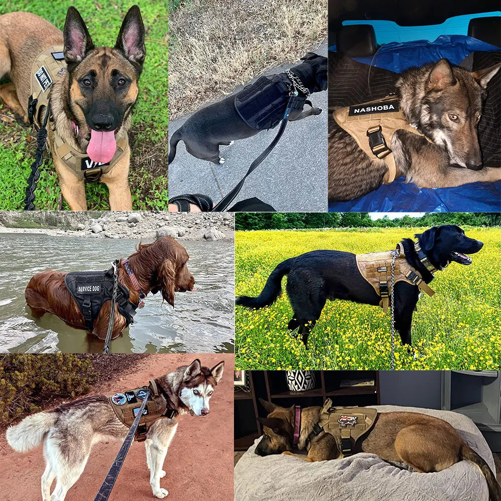 PETRAVELCN Tactical Dog Harness Leash Set for Large Dogs