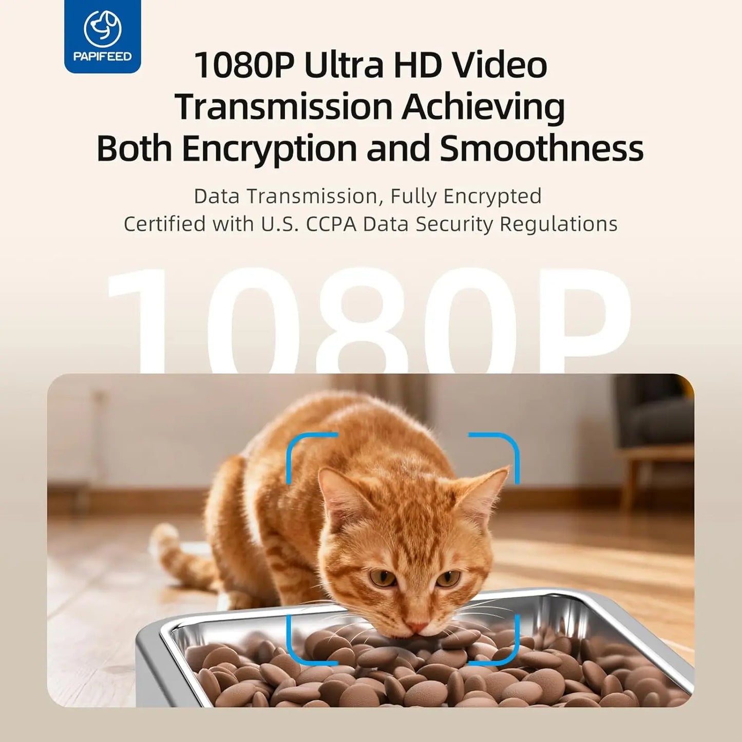 Automatic Pet Feeder With WiFi Camera And App Control