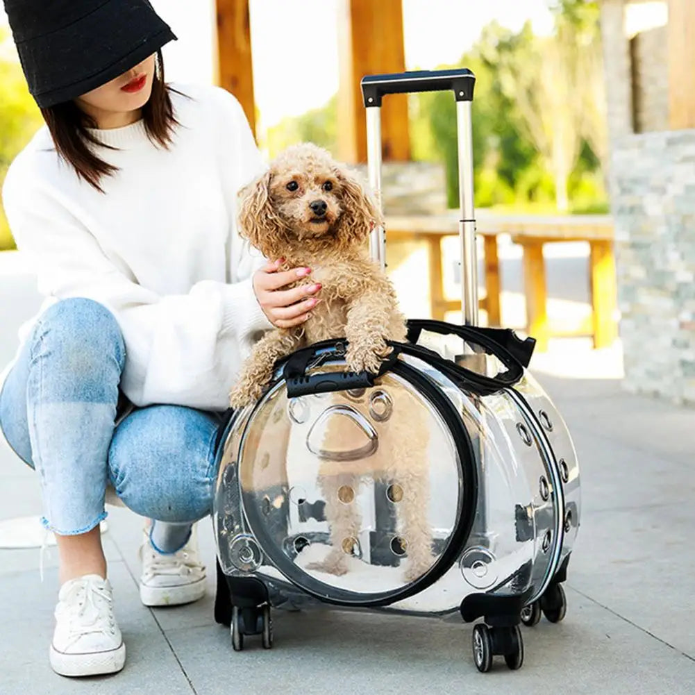 Pet Trolley Case With Ventilation Holes For Cats Travel Stroller