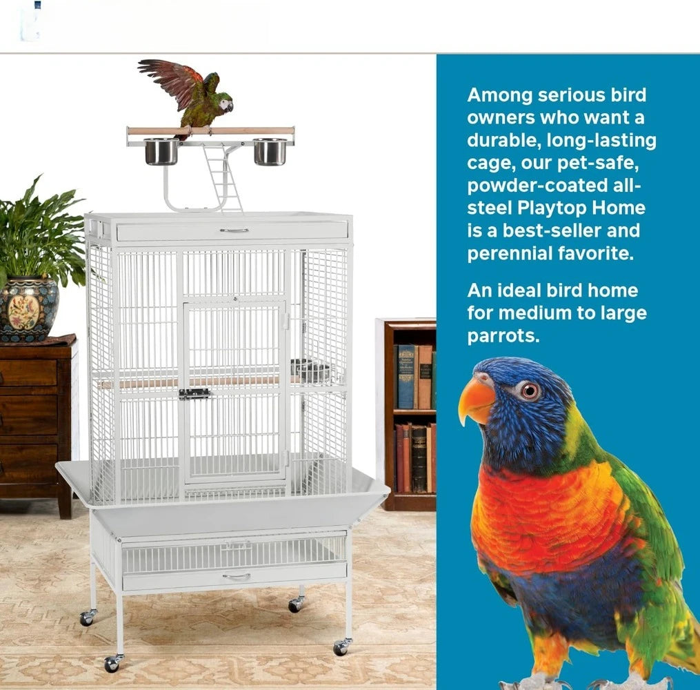Wrought Iron Select Bird Cage With Stand Playtop Cups Perches