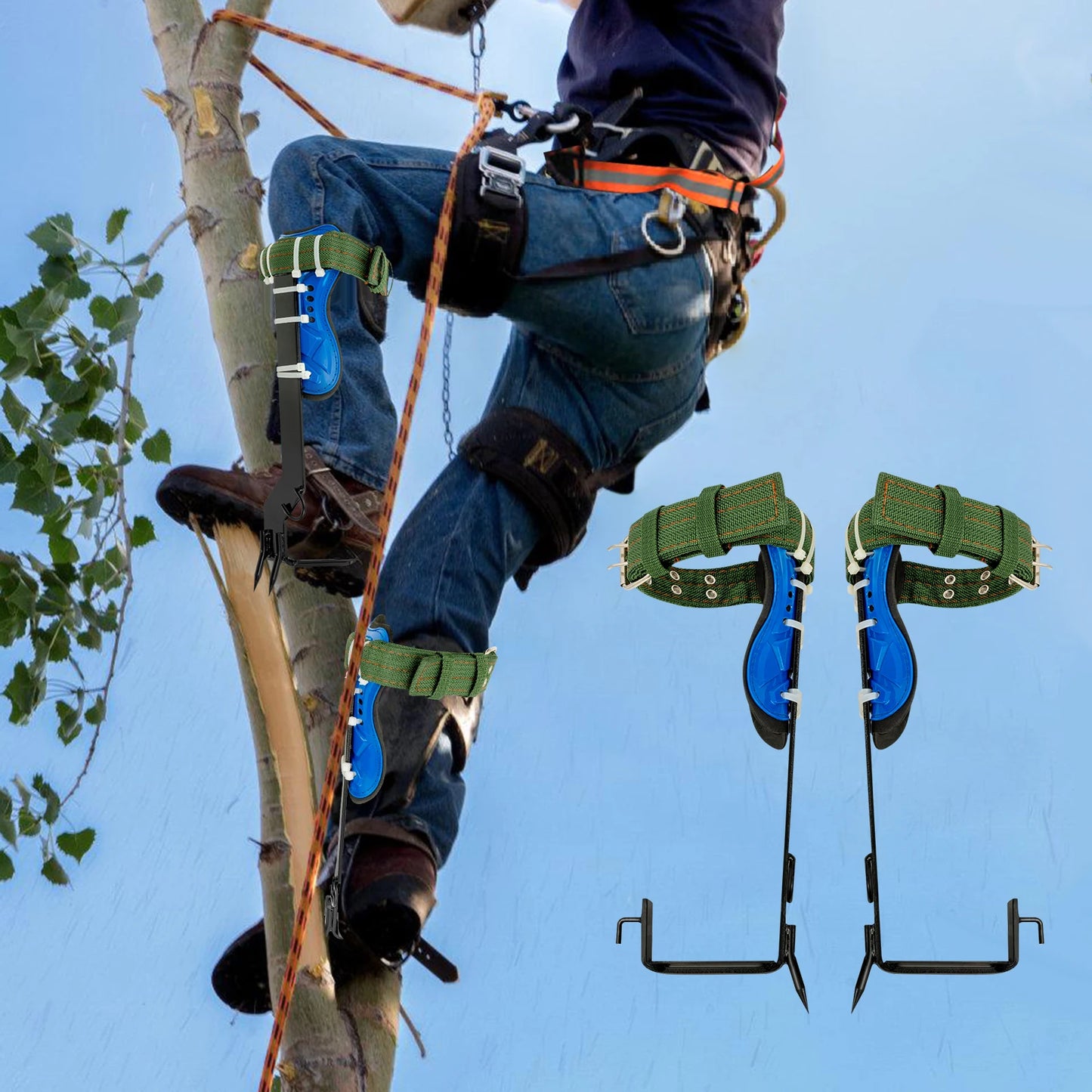 Tree Climbing Spikes Kit With Safety Harness And Gloves Arborists